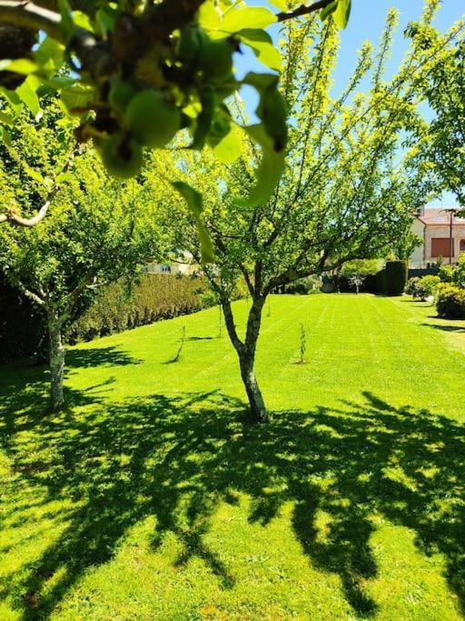 Apartmán A Chamiseirina Padrón Exteriér fotografie